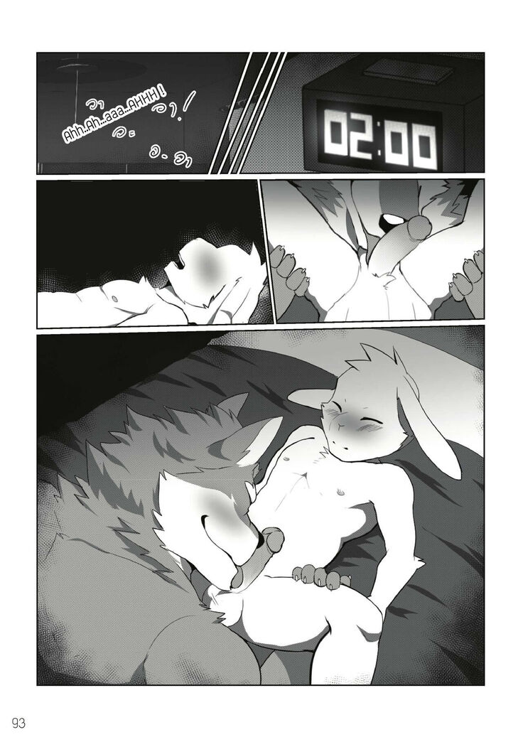 The Relationship