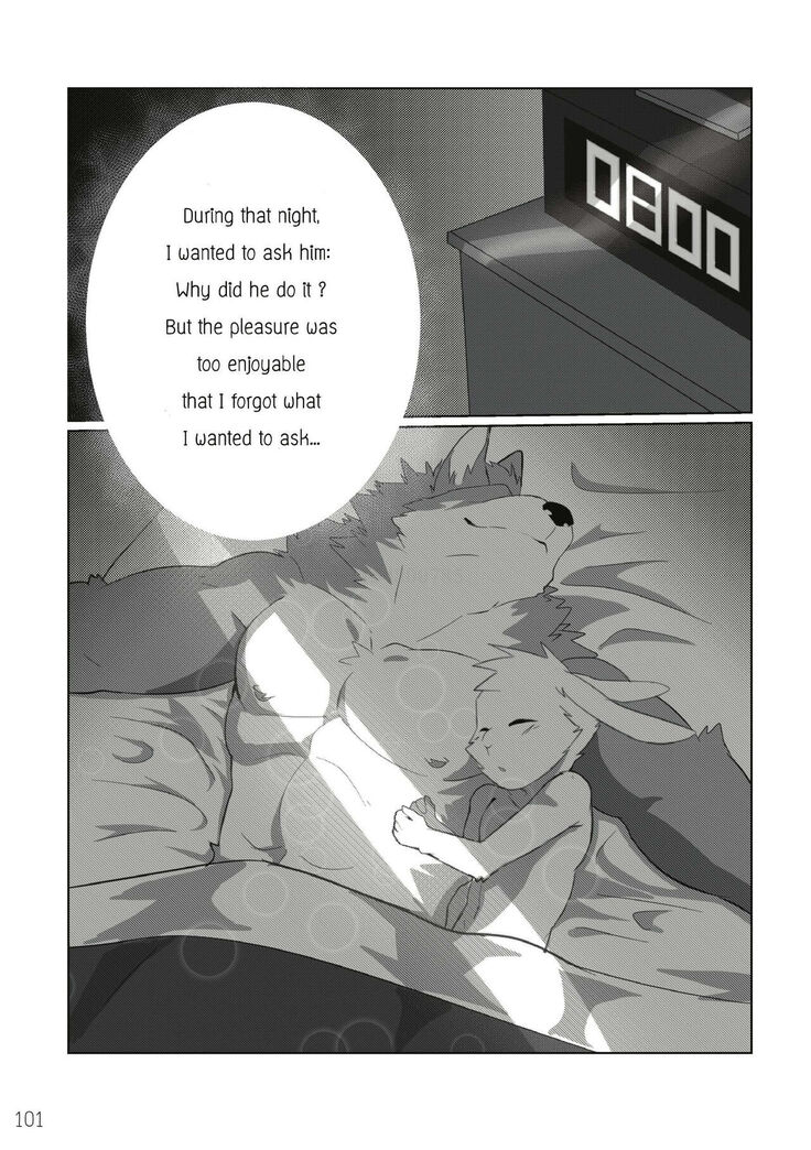 The Relationship