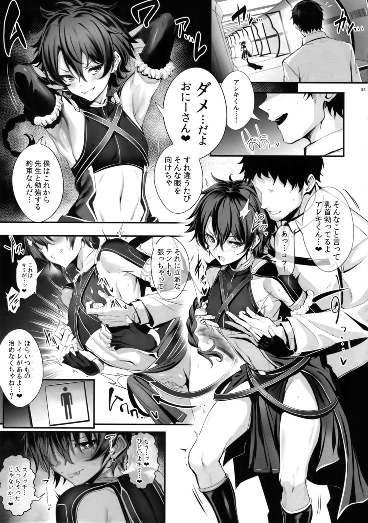 Fate/DTrder Hiraki