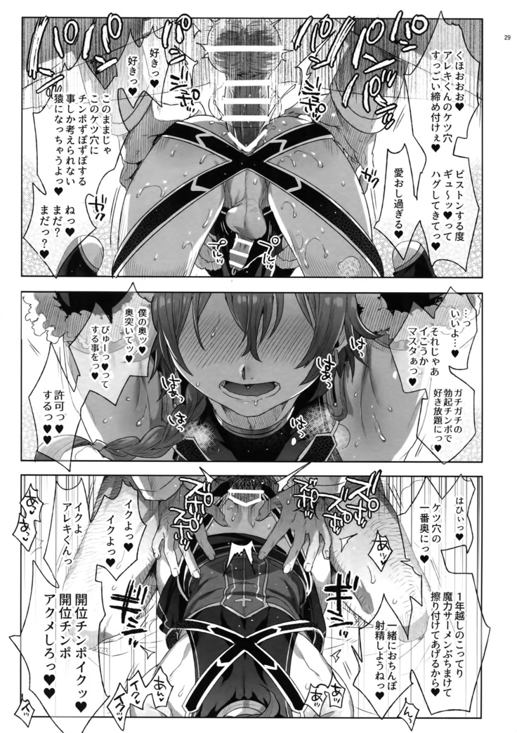 Fate/DTrder Hiraki