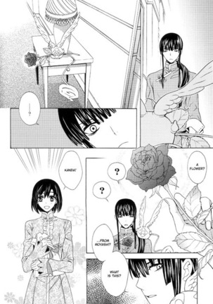 Image 13780308