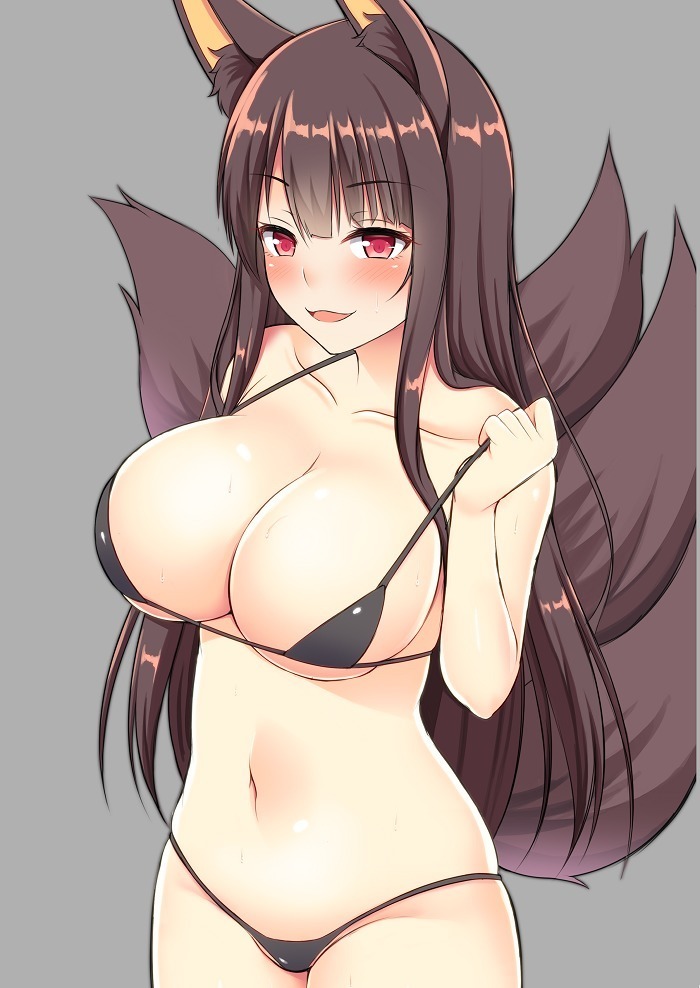 AzuLan Akagi-san Matome