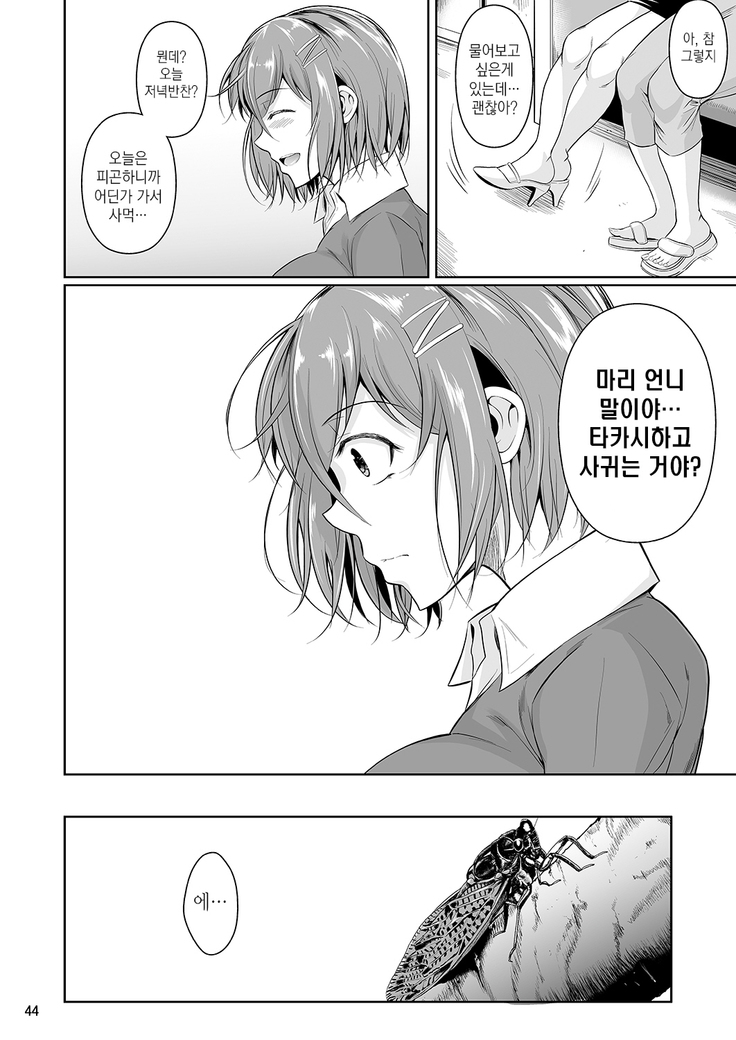 Touchuukasou | 동충화초 series