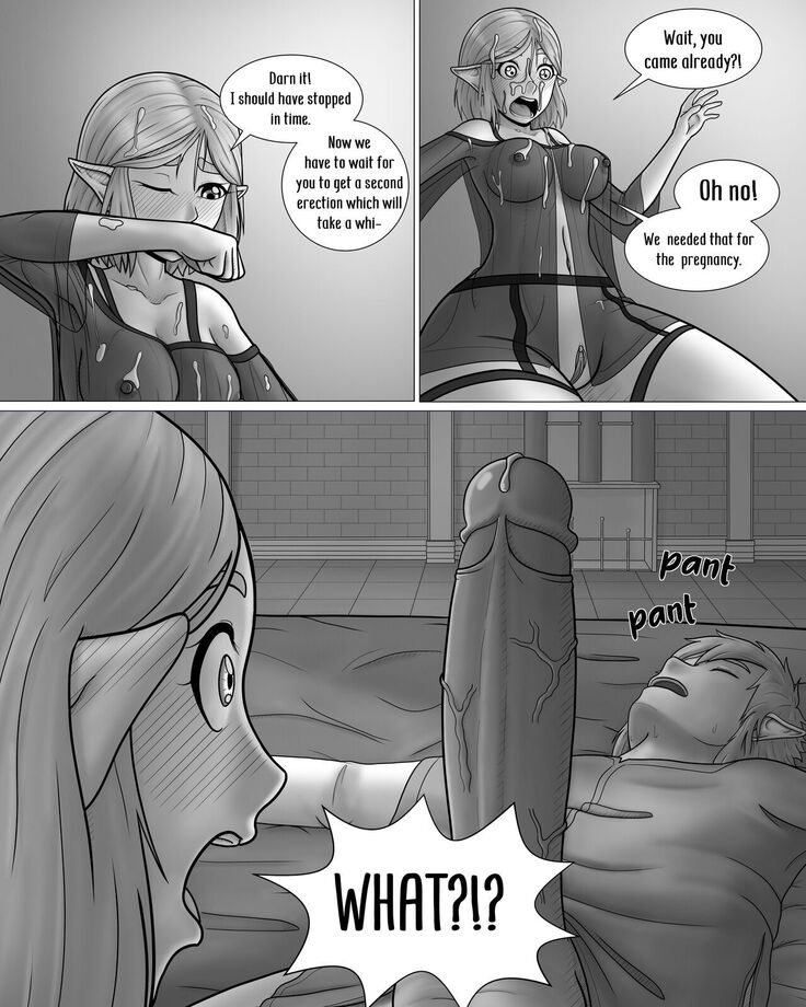 The Legend of Zelda: A Night with the Princess