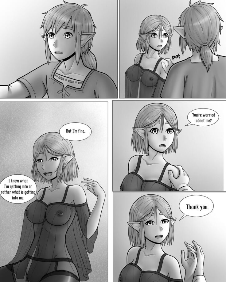 The Legend of Zelda: A Night with the Princess