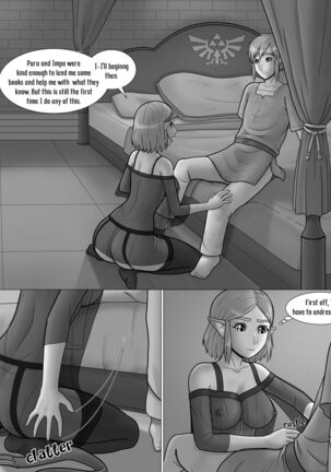 The Legend of Zelda: A Night with the Princess - Page 8