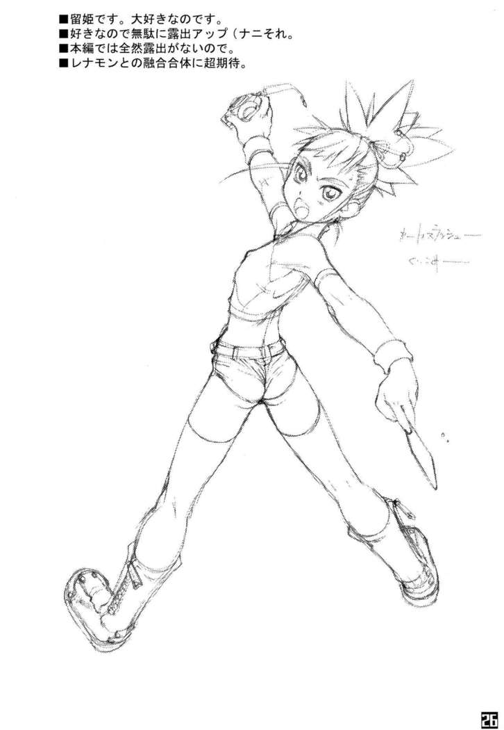 ROUGH vol.13