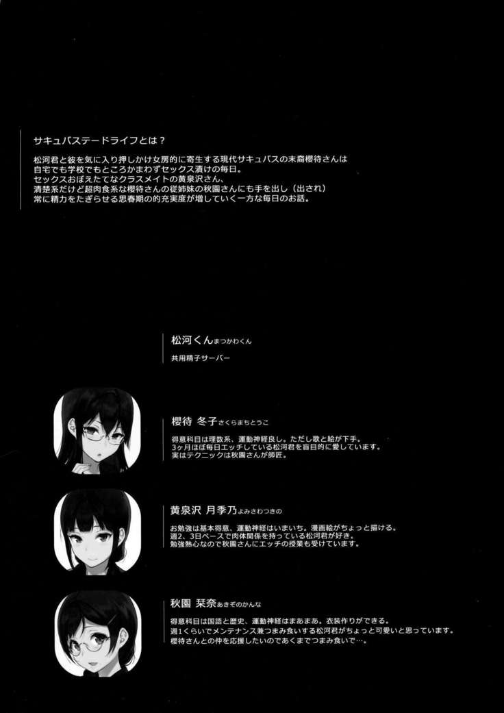 Succubus Stayed Life 5