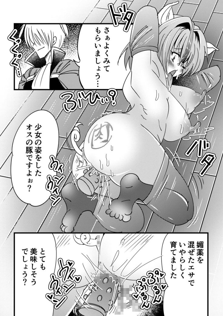 Kyouran Niku Tenkan ~Osubuta ni Nottorareta Nyotai~