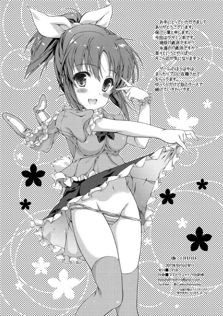 ERO Usa