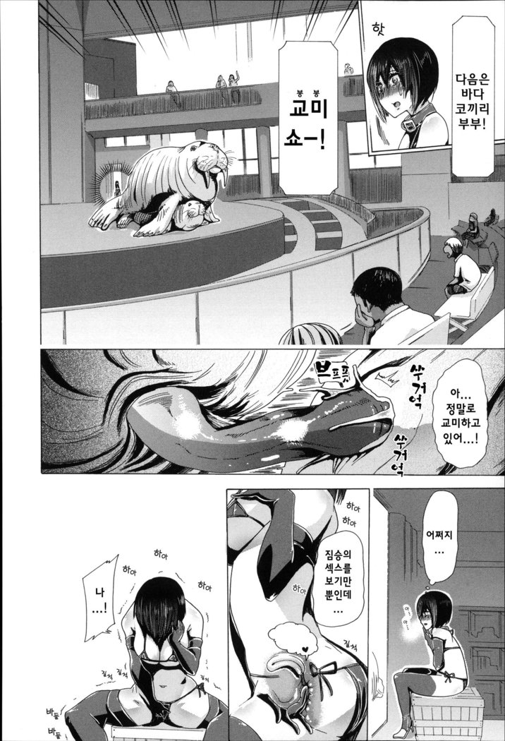 Juukan Hitoduma Kasumi -korean-