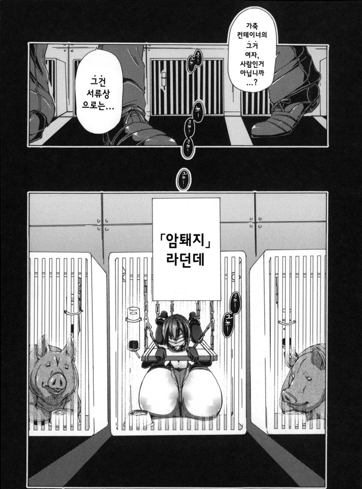Juukan Hitoduma Kasumi -korean-