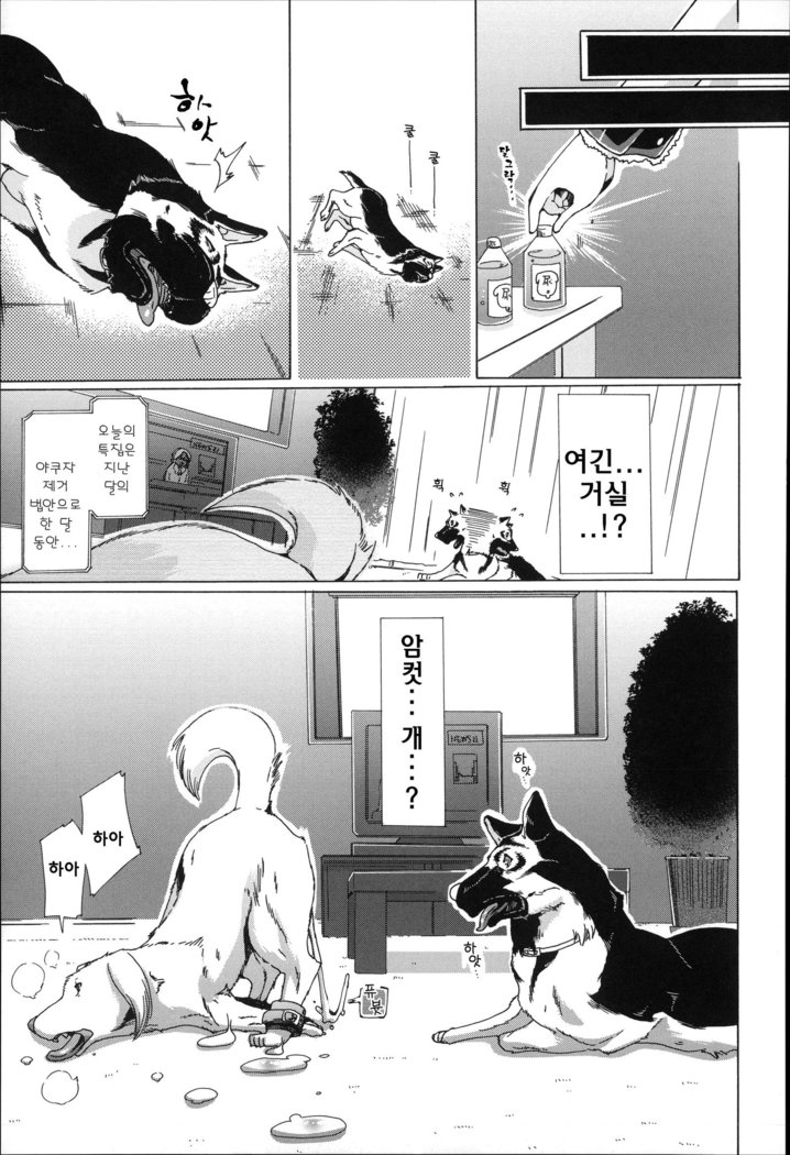 Juukan Hitoduma Kasumi -korean-