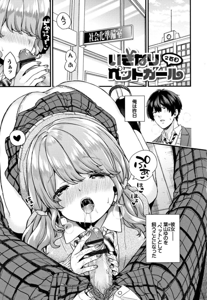 Sukikoi