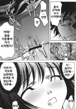 Hakoiri Musume Ryoujoku - Page 15