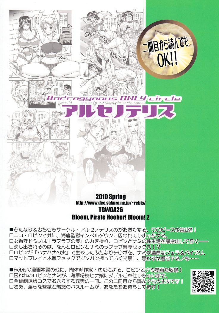 Midarezaki Joshuu Kaizoku 2 -Robin to Nami no Love Love Mitsu Shibori hen | Bloom Pirate Hooker 2