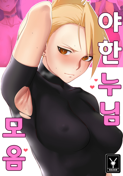 Ecchi na Onee-san Matome | 야한 누님 모음