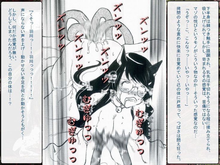 RTK Book Ver. 8.4: “‘Tsuki’ Monogatari Saishuu-banashi ‘Tsubasa, soshite... Mayoi maimai’”