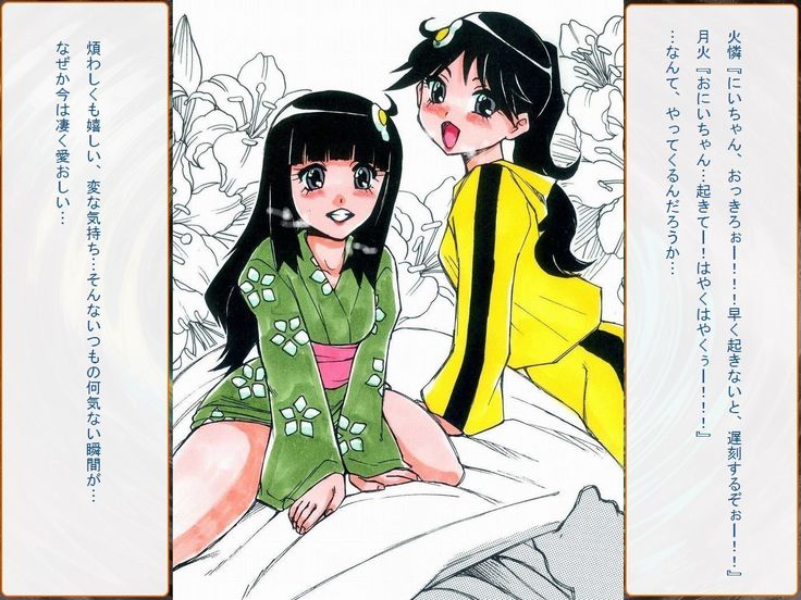 RTK Book Ver. 8.4: “‘Tsuki’ Monogatari Saishuu-banashi ‘Tsubasa, soshite... Mayoi maimai’”