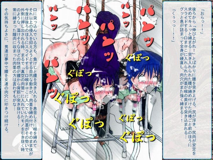 RTK Book Ver. 8.4: “‘Tsuki’ Monogatari Saishuu-banashi ‘Tsubasa, soshite... Mayoi maimai’”