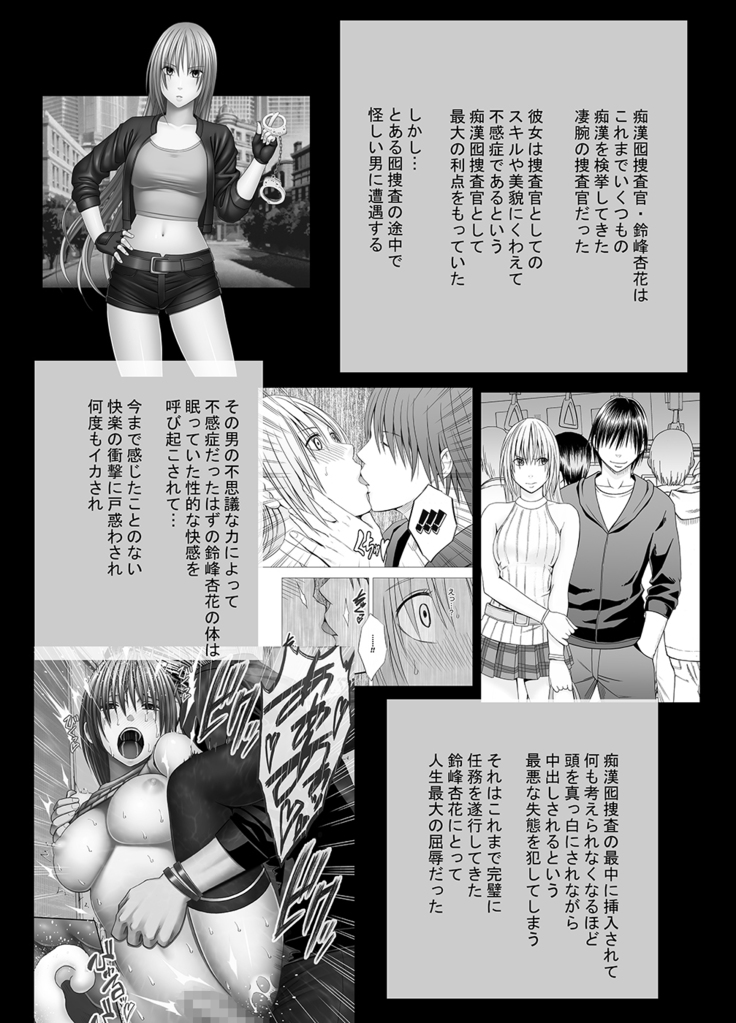 Chikan Otori Sousakan Kyouka 6 Owari Naki Kairaku Chokyo