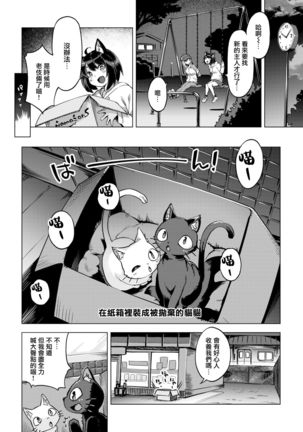 Oshikake Nyanko