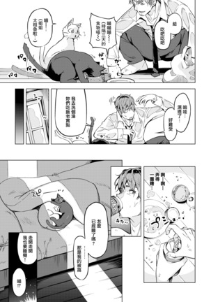 Oshikake Nyanko