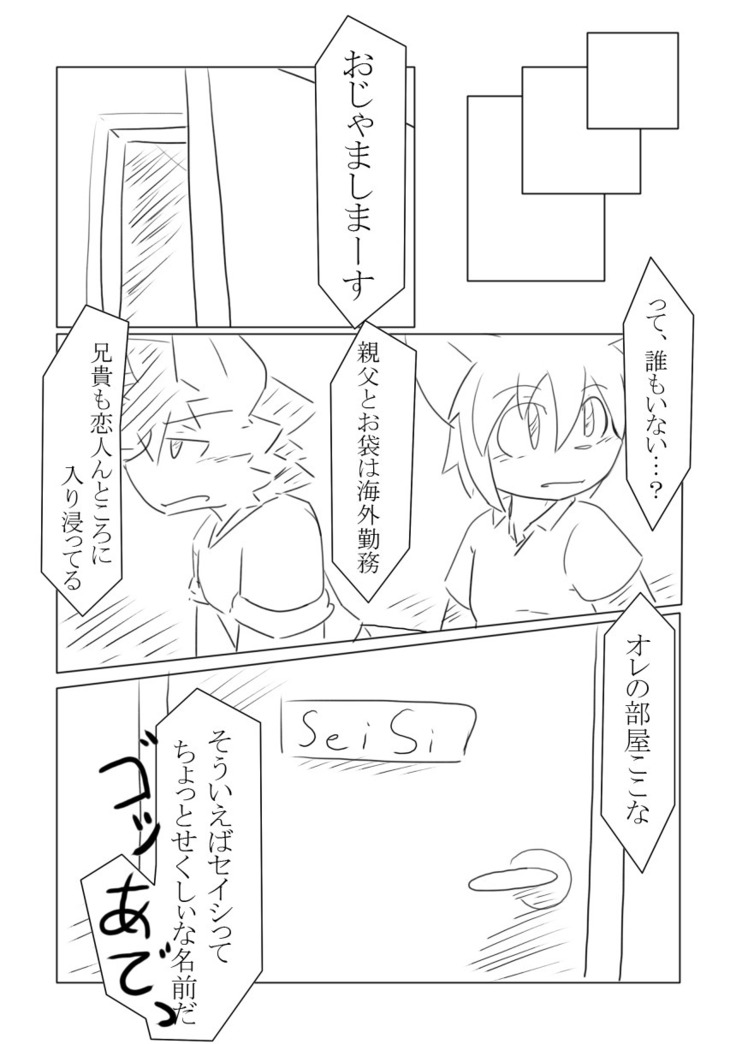 DS Cover!