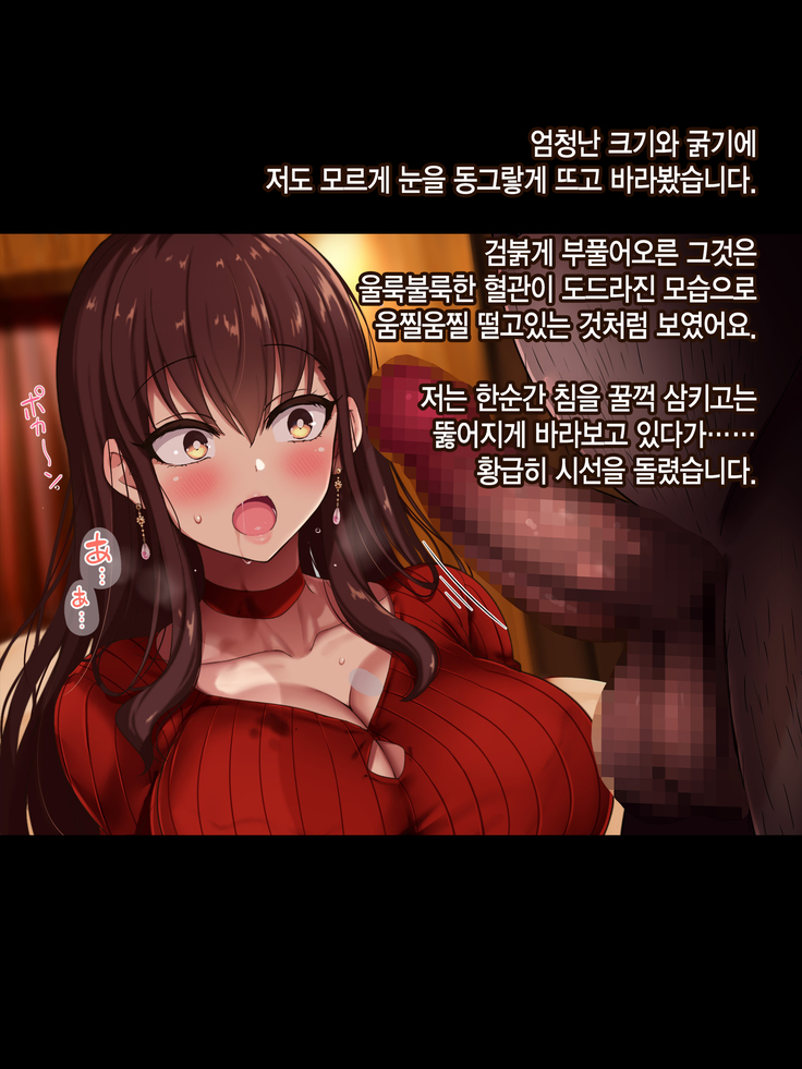Otto wa Shiranai, Tsuma no Netorare Shakkin Hensai