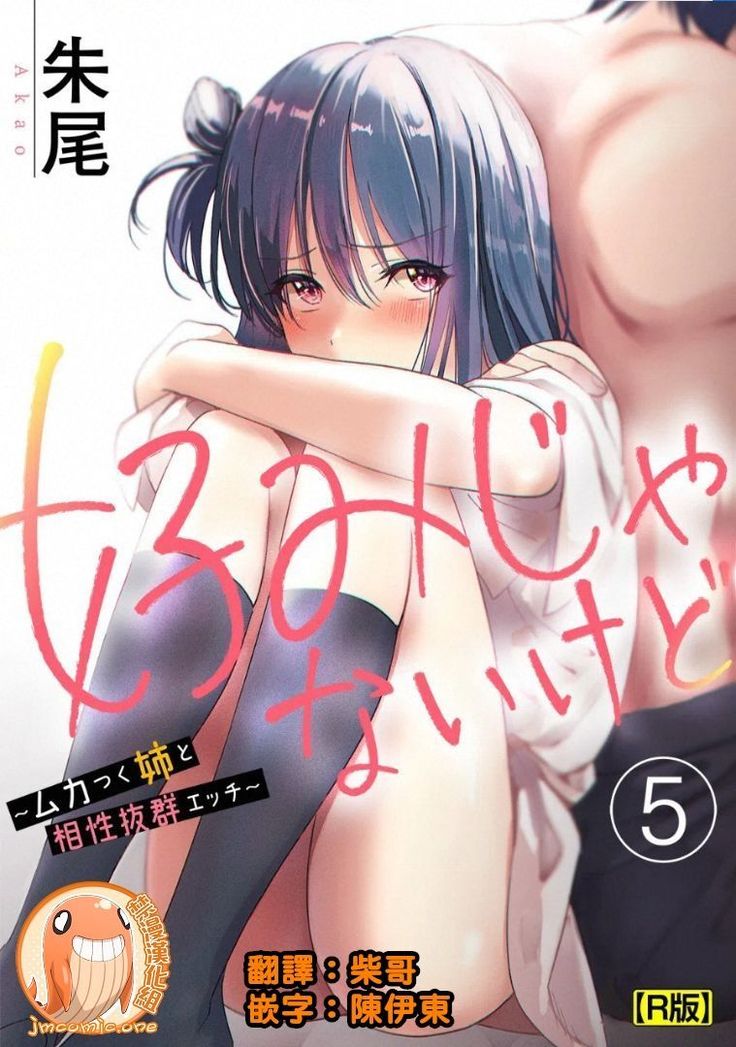 [Akao, Anaran] Konomi ja Nai kedo ~Mukatsuku Ane to Aishou Batsugun Ecchi~ 1-6 | 雖然不是自己的菜～與討厭姐姐的超契合H～1-6  [Chinese] [禁漫漢化組]