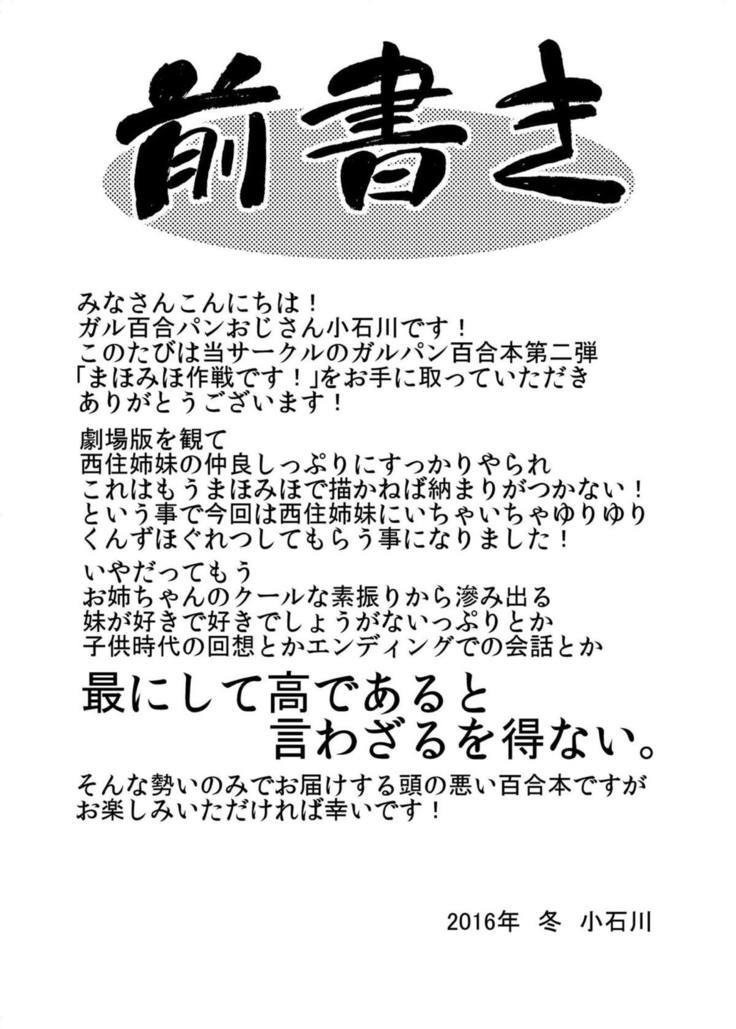 Girls und Girls 2 _MahoMiho Sakusen desu!_