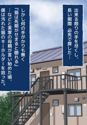 Image 5911409