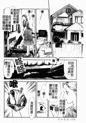 OO II Junketsu no Hansayou - Page 167