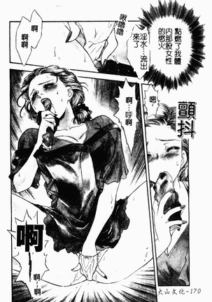 OO II Junketsu no Hansayou Page #171