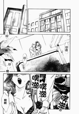 OO II Junketsu no Hansayou - Page 29