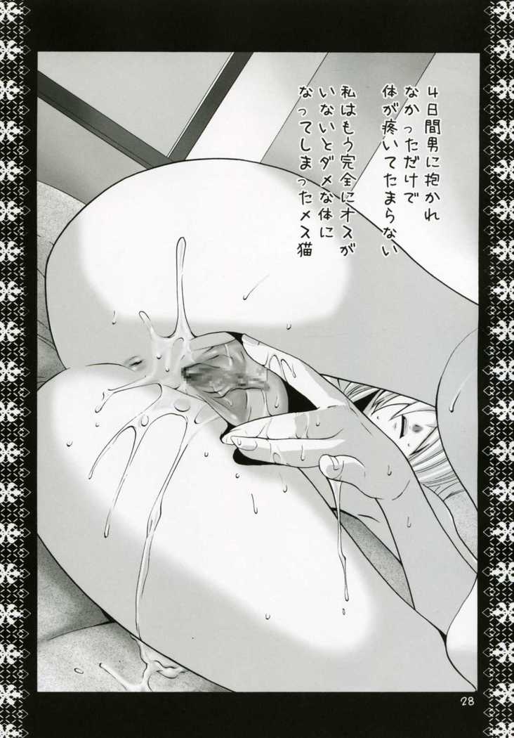 Mithra Choukyou Enikki