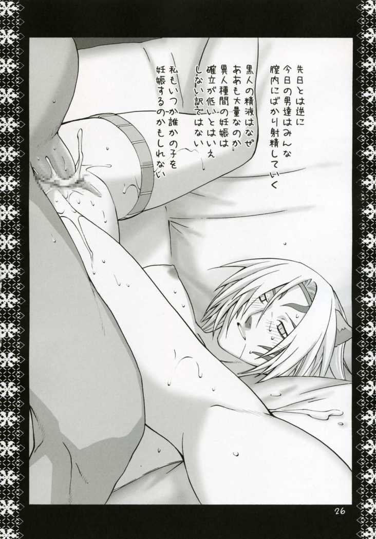 Mithra Choukyou Enikki