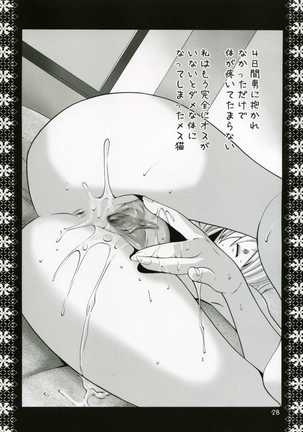Mithra Choukyou Enikki Page #27