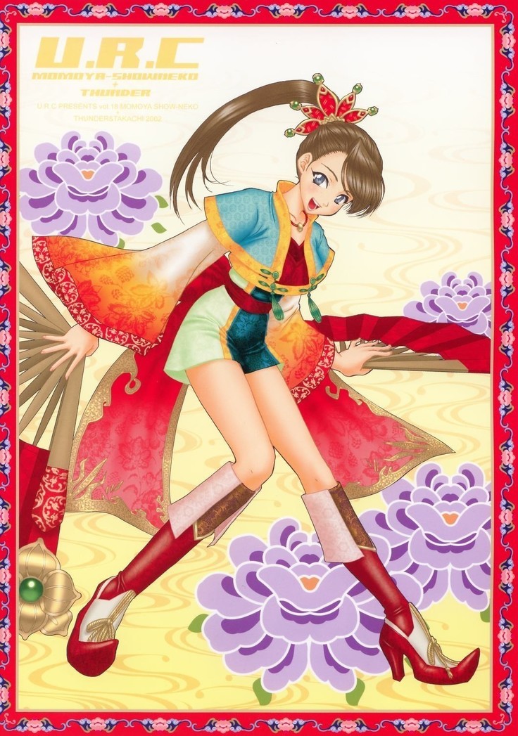 In Sangoku Musou