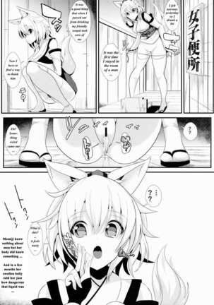 Touhou Deisuikan 3 Inubashiri Momiji Page #20