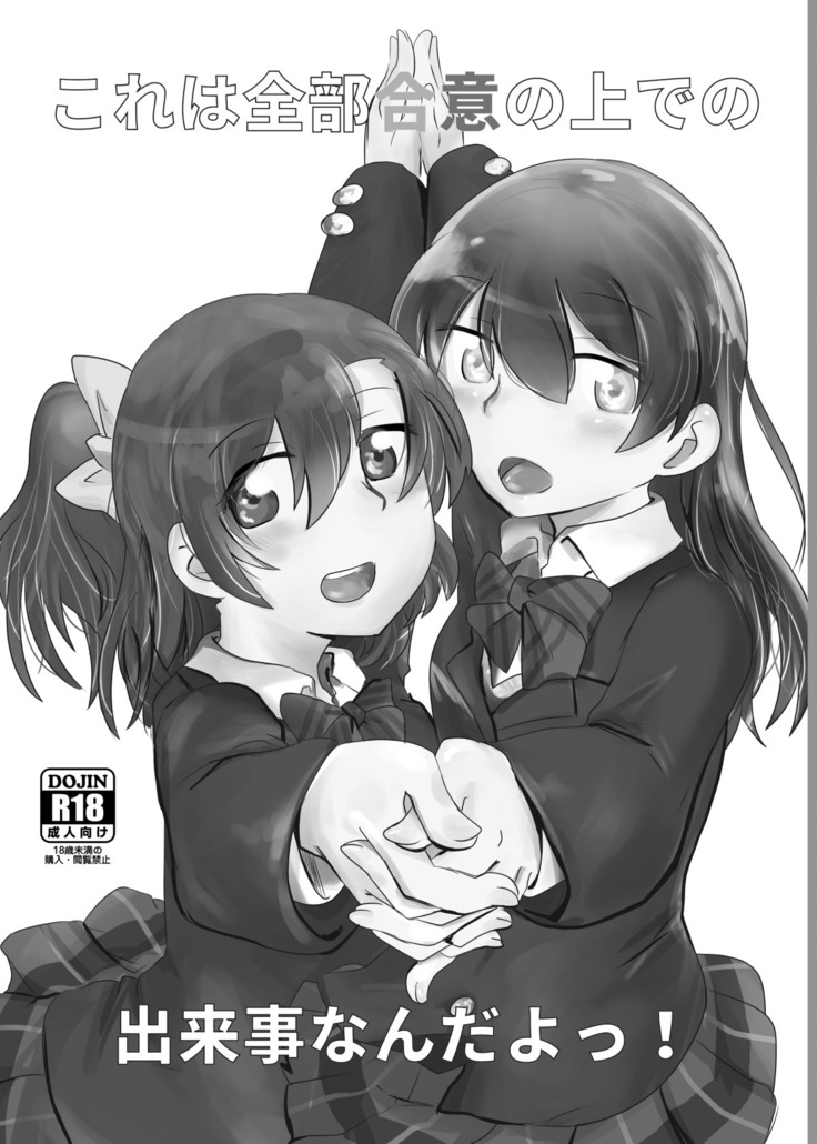 HonokaUmi Summary