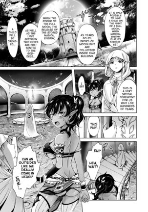elf ~Tsuki no Mahou~ | Elf ~Magic of the Moon~ Page #7