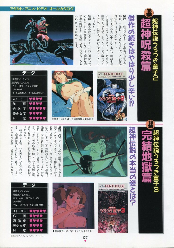 Bishoujo Anime Daizenshuu - Adult Animation Video Catalog 1991