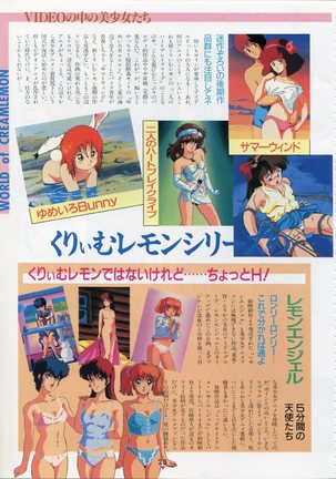 Bishoujo Anime Daizenshuu - Adult Animation Video Catalog 1991 Page #19
