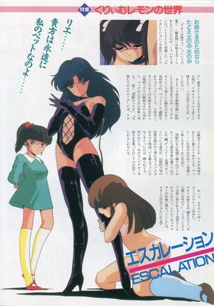Bishoujo Anime Daizenshuu - Adult Animation Video Catalog 1991 Page #14