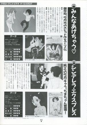 Bishoujo Anime Daizenshuu - Adult Animation Video Catalog 1991 Page #81
