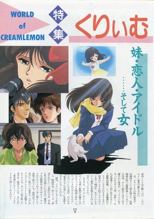 Bishoujo Anime Daizenshuu - Adult Animation Video Catalog 1991 Page #13