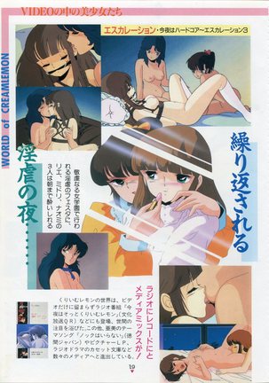 Bishoujo Anime Daizenshuu - Adult Animation Video Catalog 1991 Page #15