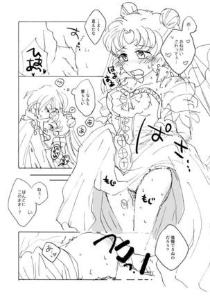 Image 2554875