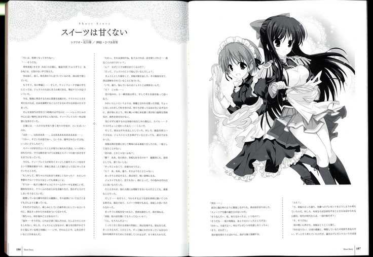 Walkure Romanze Visual Fanbook